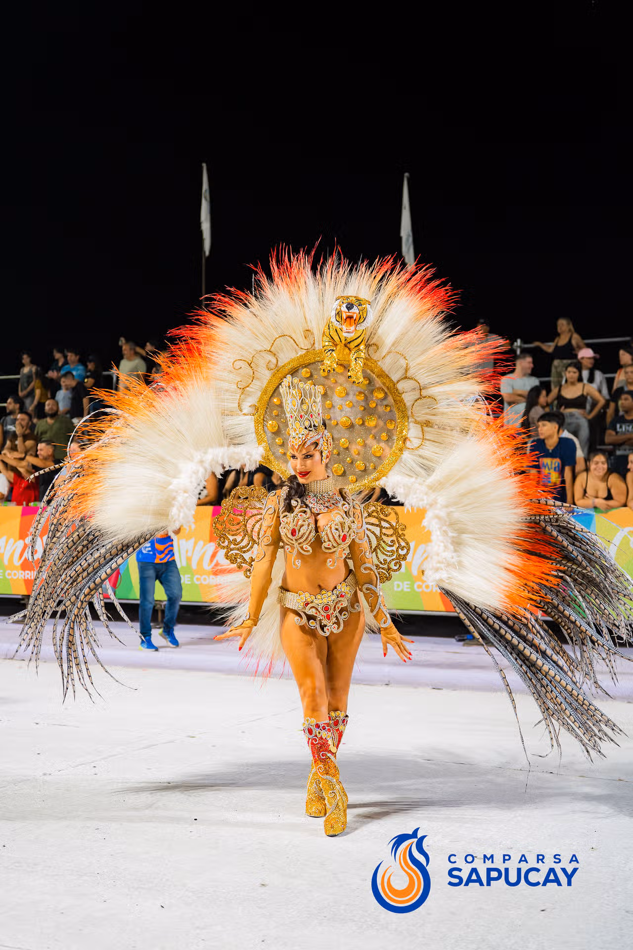 Galeria de fotos de la Quinta Noche de Corso 15-02-26