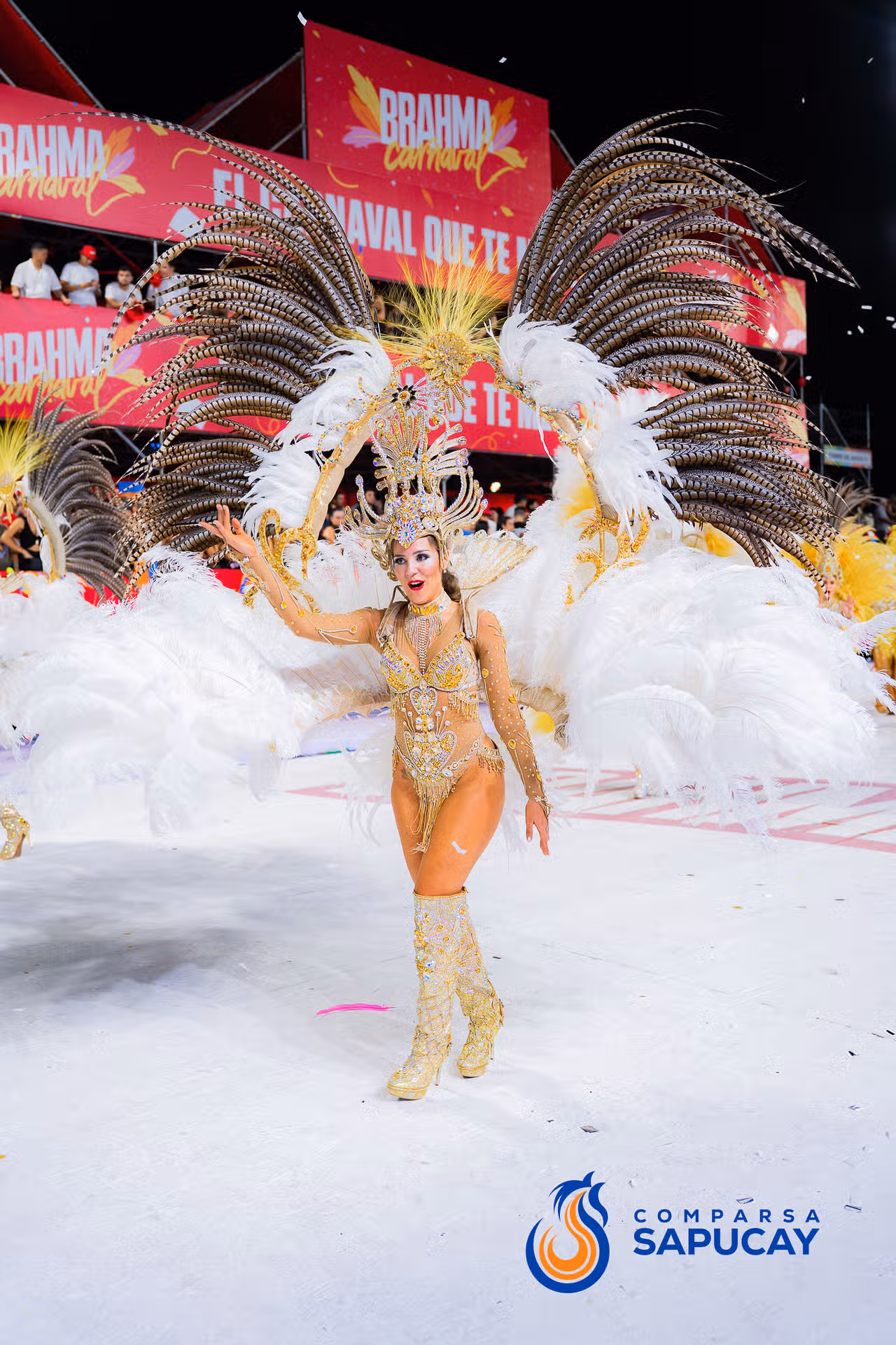 Galeria de fotos de la Segunda Noche de Corso 06-02-26