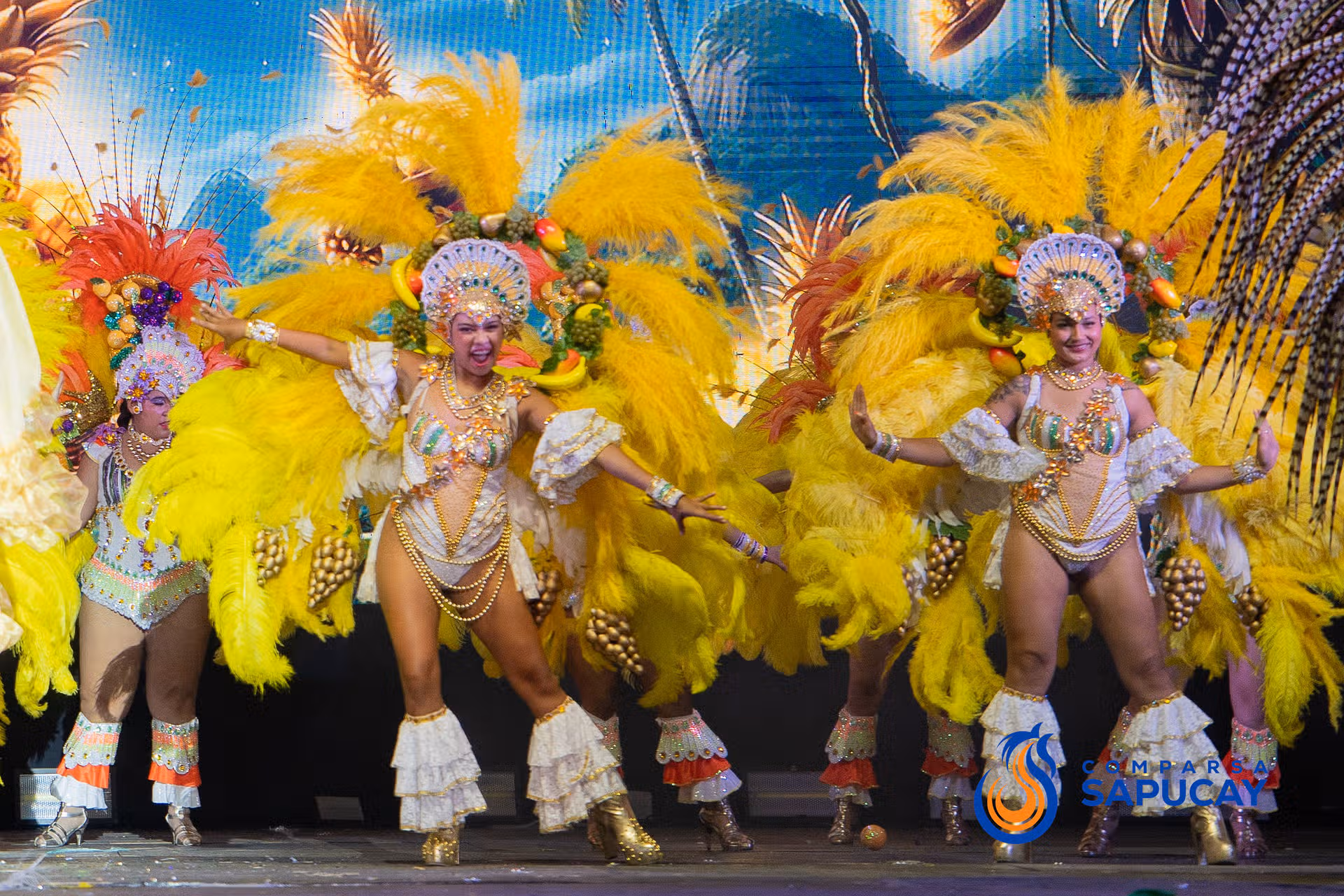 Galeria de fotos del Segundo Show de Comparsa 08-02-26