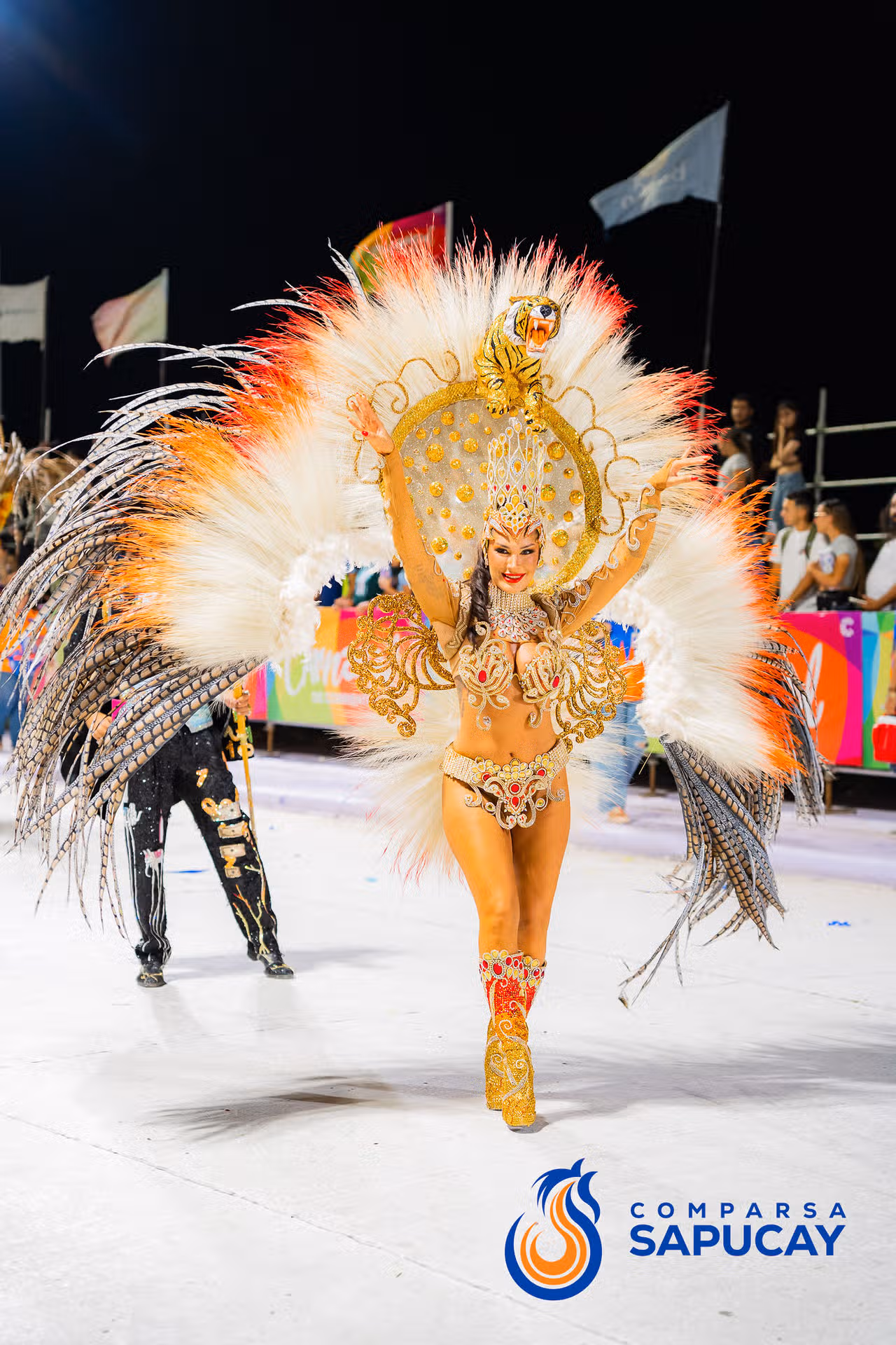 Galería de fotos de la Séptima Noche de Corso 20-02-26