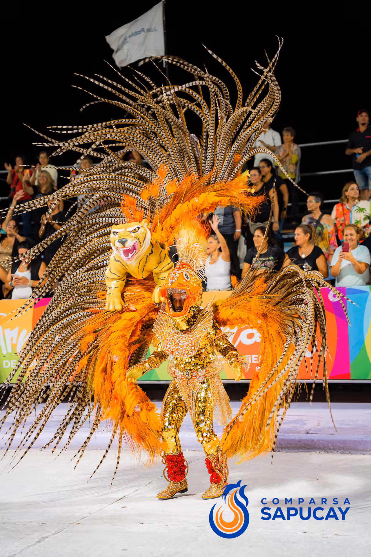 Galería de fotos de la Séptima Noche de Corso 20-02-26