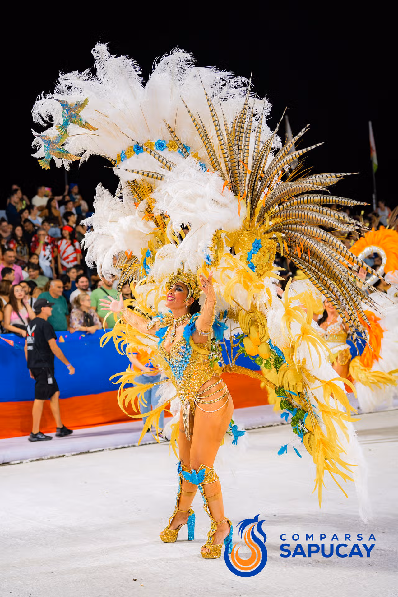 Galería de fotos de la Séptima Noche de Corso 20-02-26