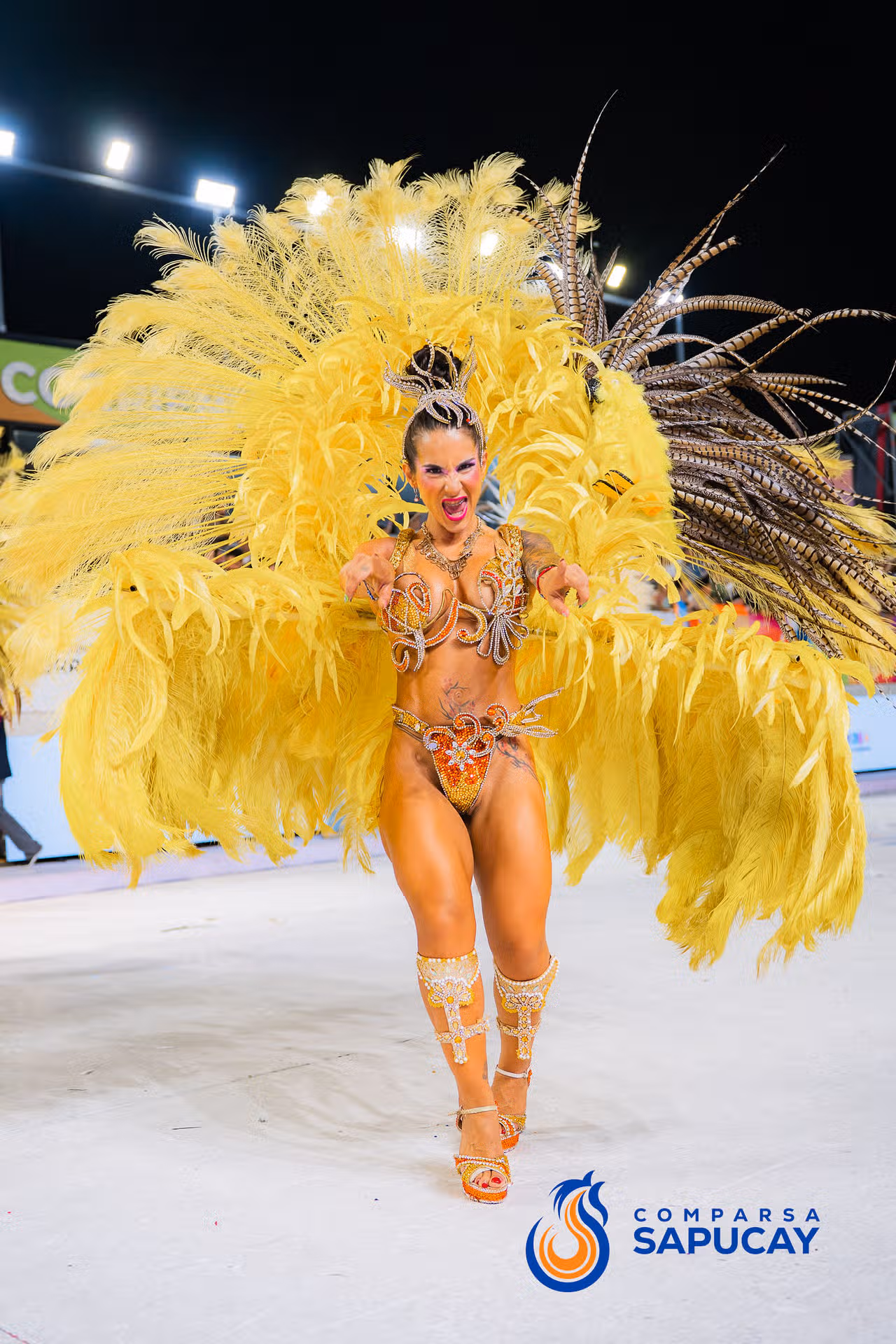 Galeria de fotos de la Sexta Noche de Corso 16-02-26