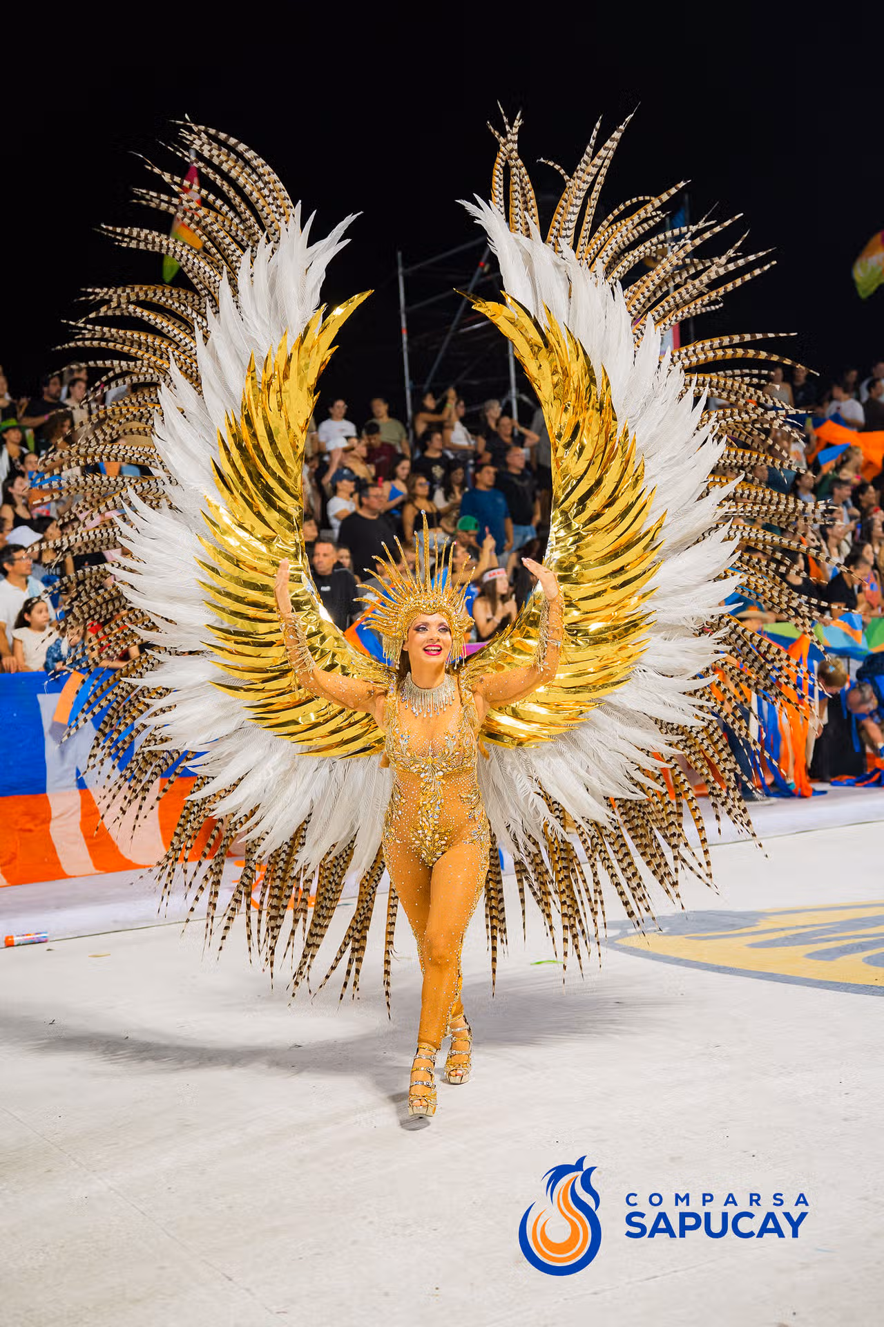 Galeria de fotos de la Sexta Noche de Corso 16-02-26