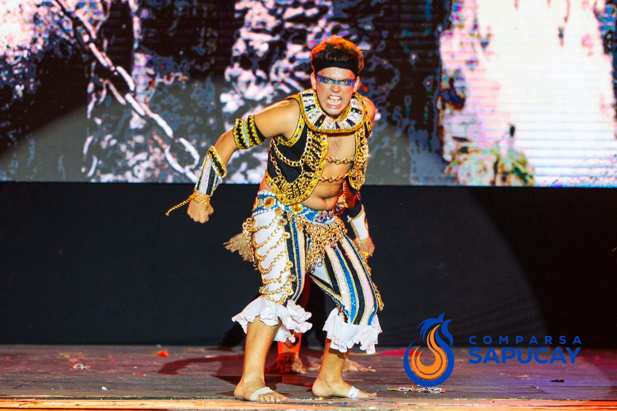 Galería de fotos del show del Carnaval 2025