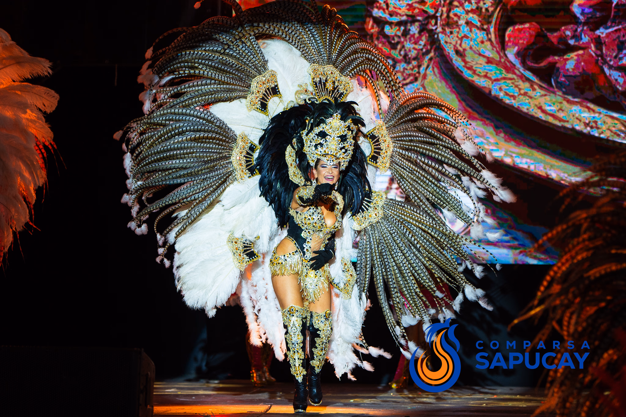 Galería de fotos del show del Carnaval 2025