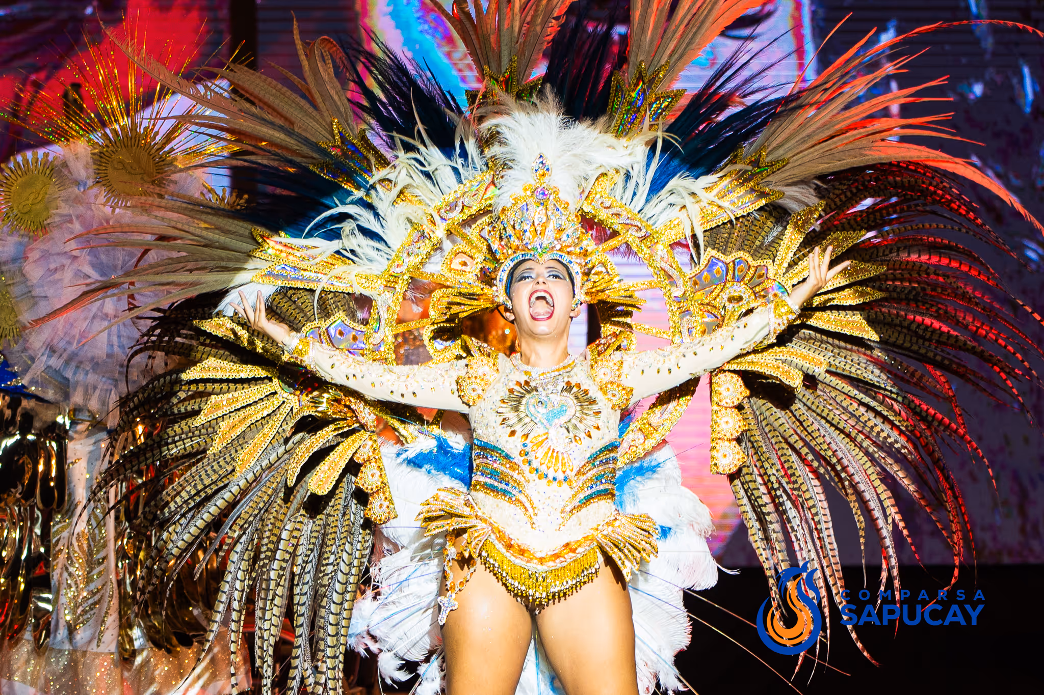 Galería de fotos del show del Carnaval 2025