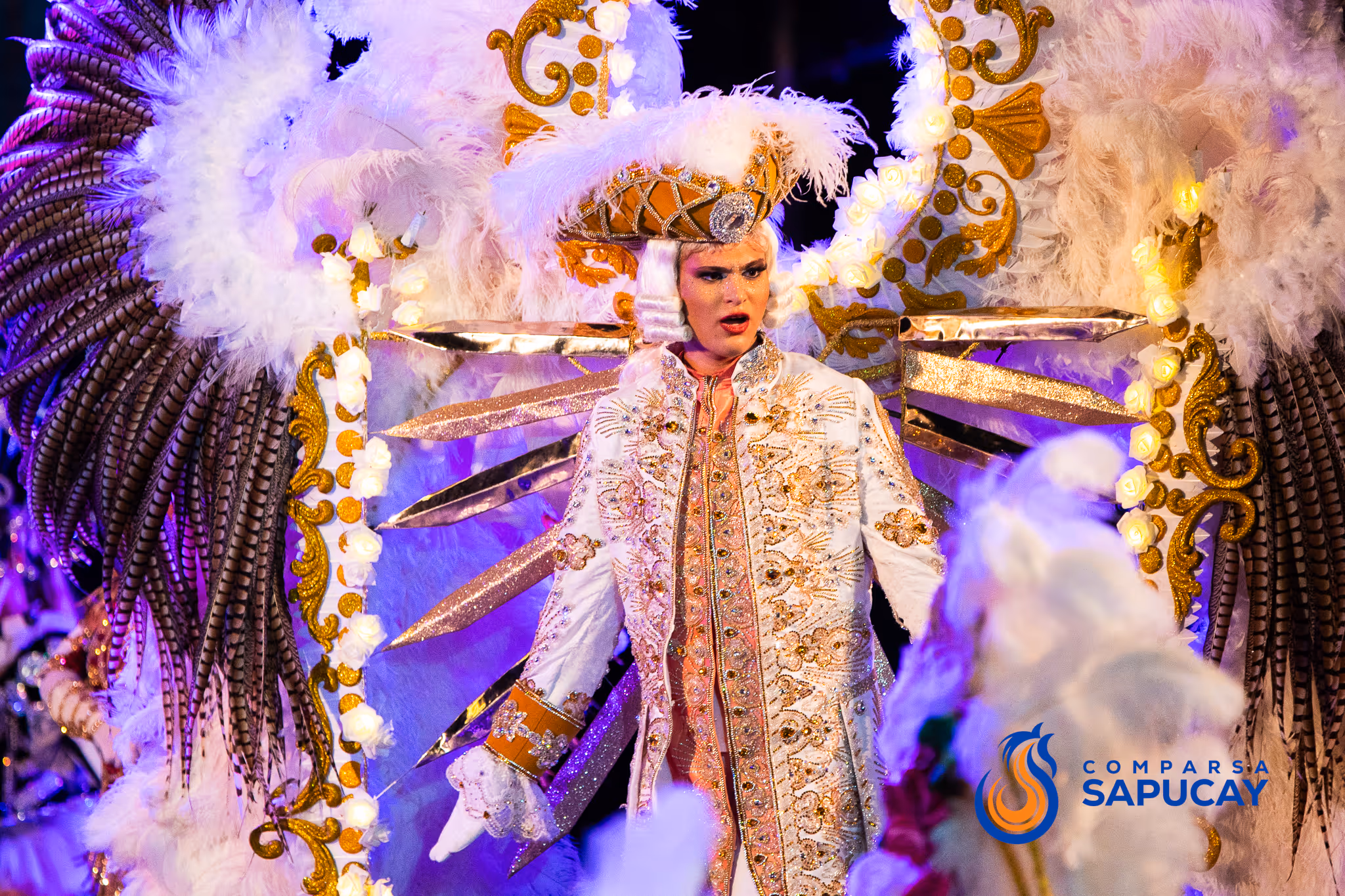 Galería de fotos del show del Carnaval 2025
