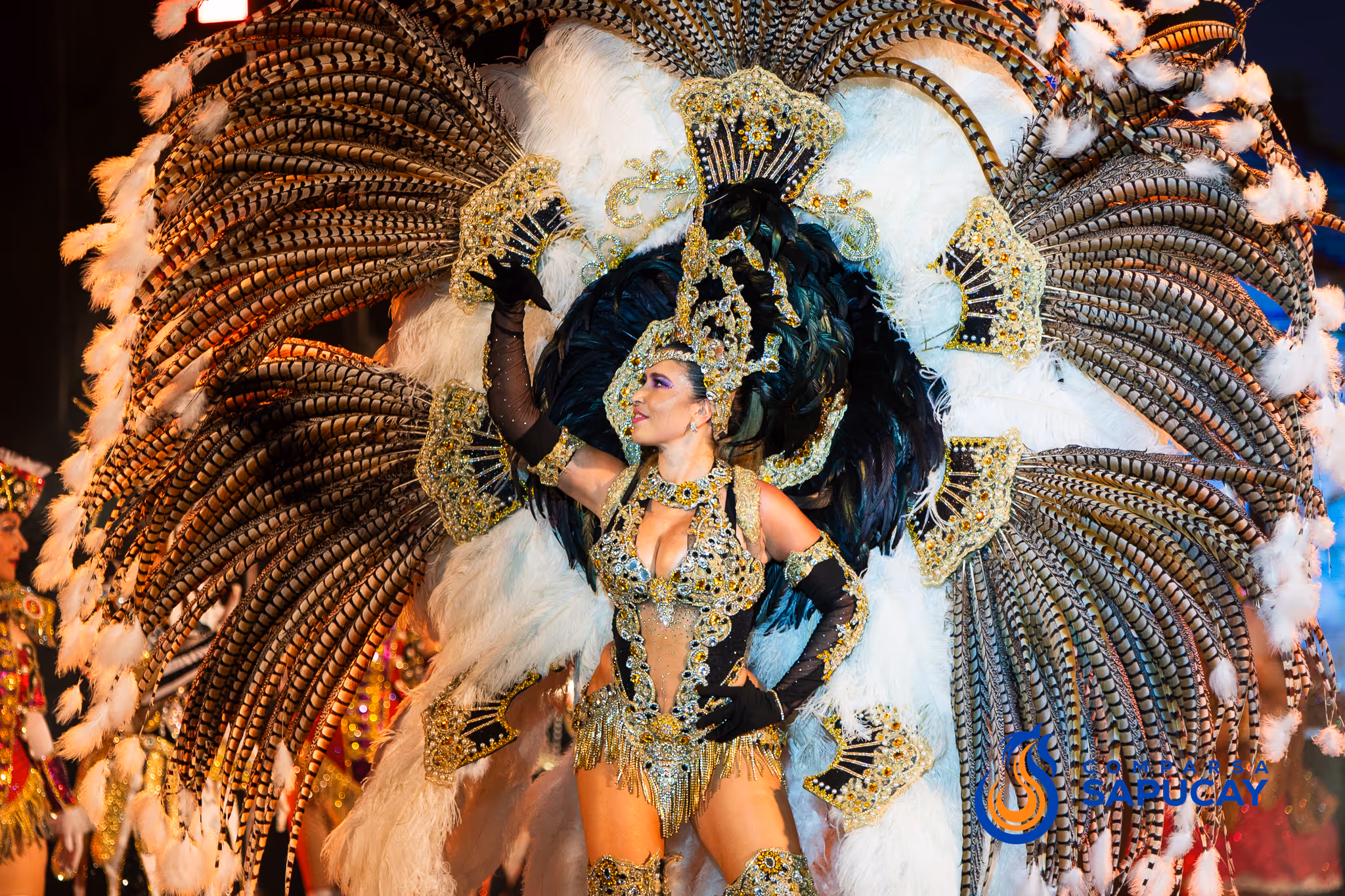 Galería de fotos del show del Carnaval 2025