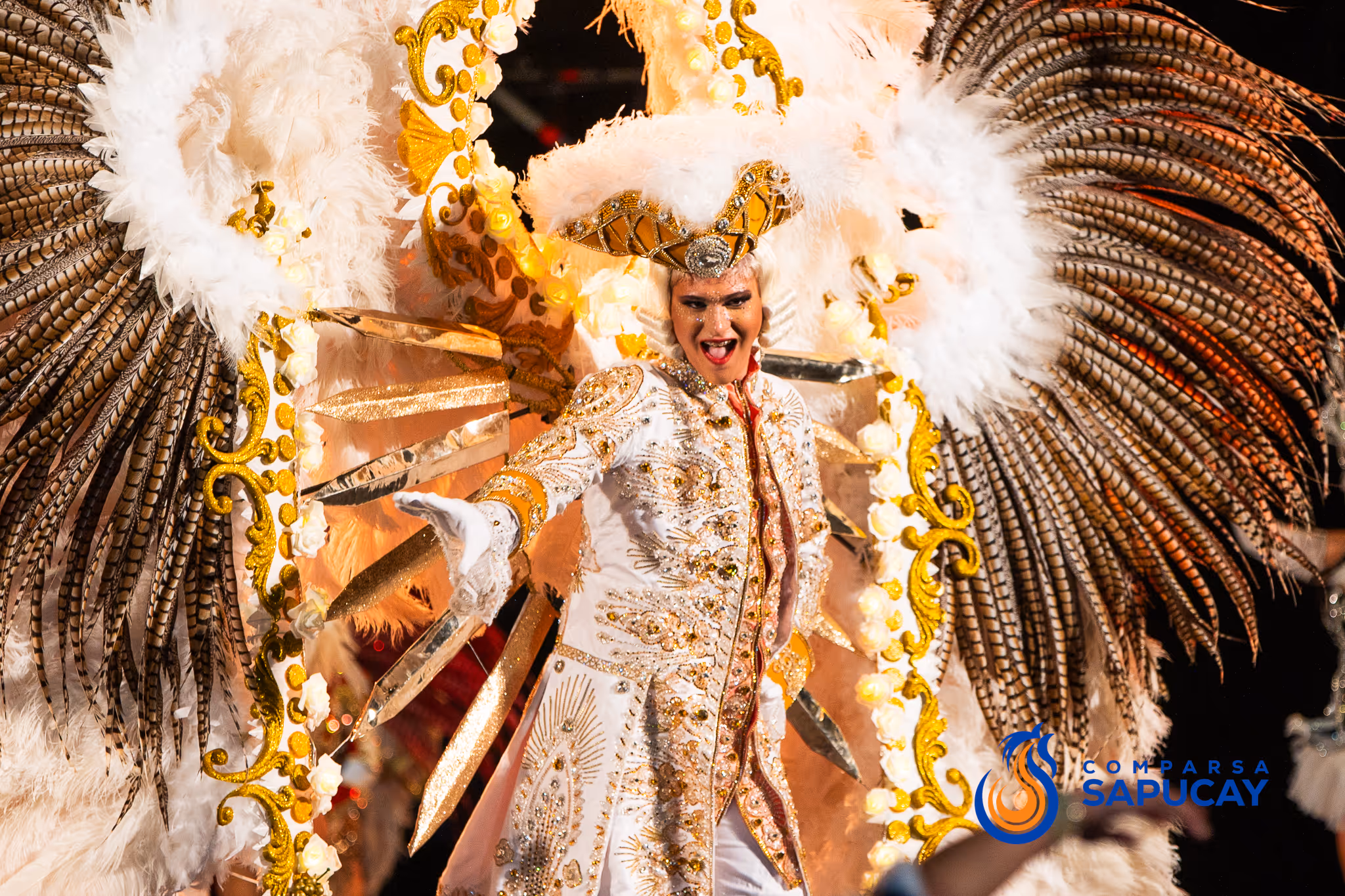 Galería de fotos del show del Carnaval 2025