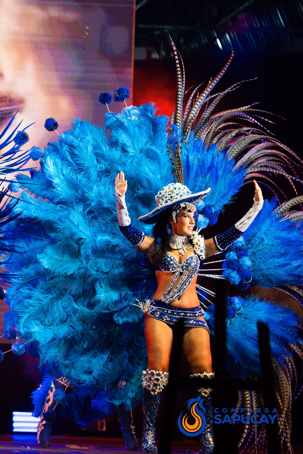 Galeria de fotos del Show de Comparsa 04-02-26