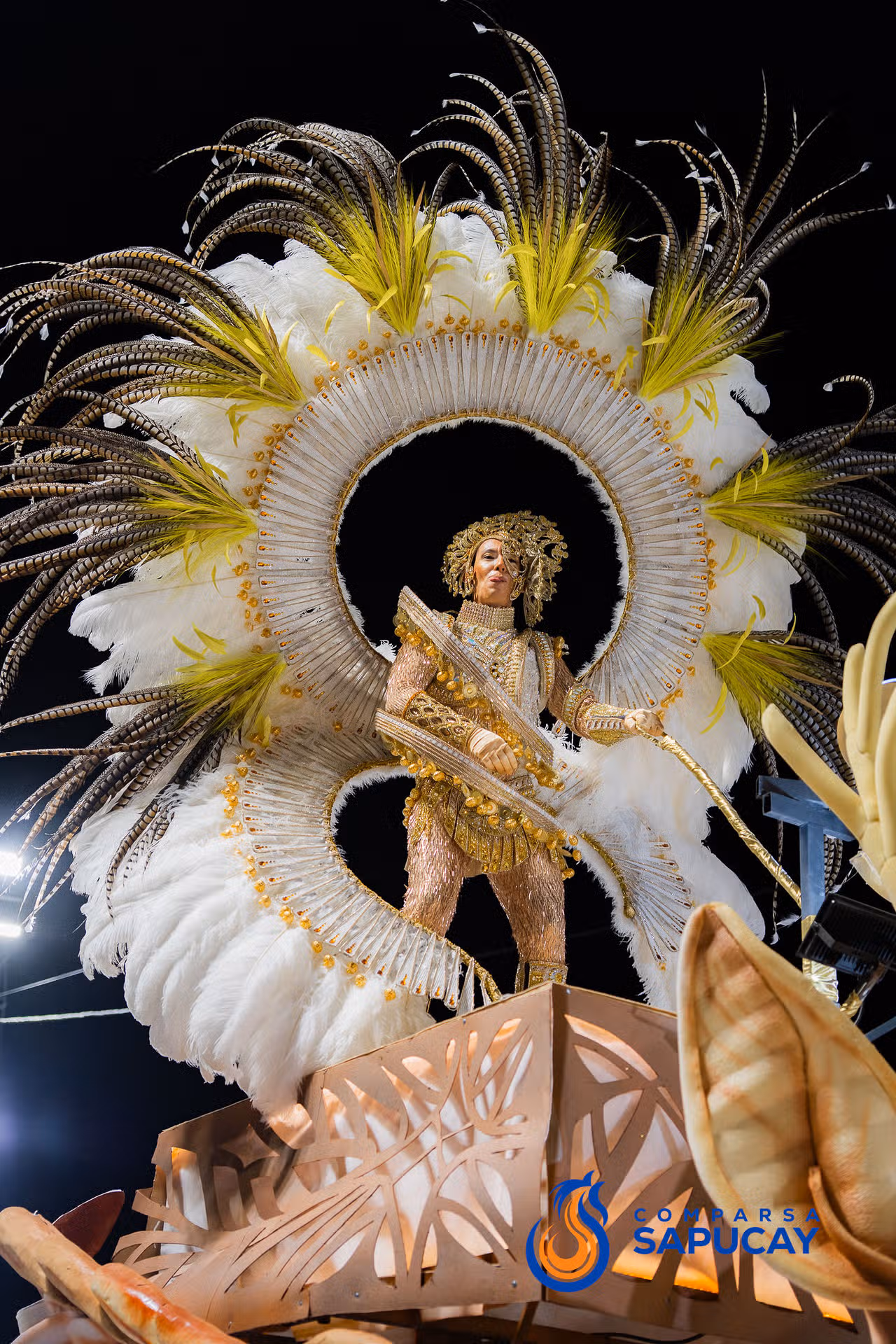 Galeria de fotos de la Tercera Noche de Corso 07-02-26