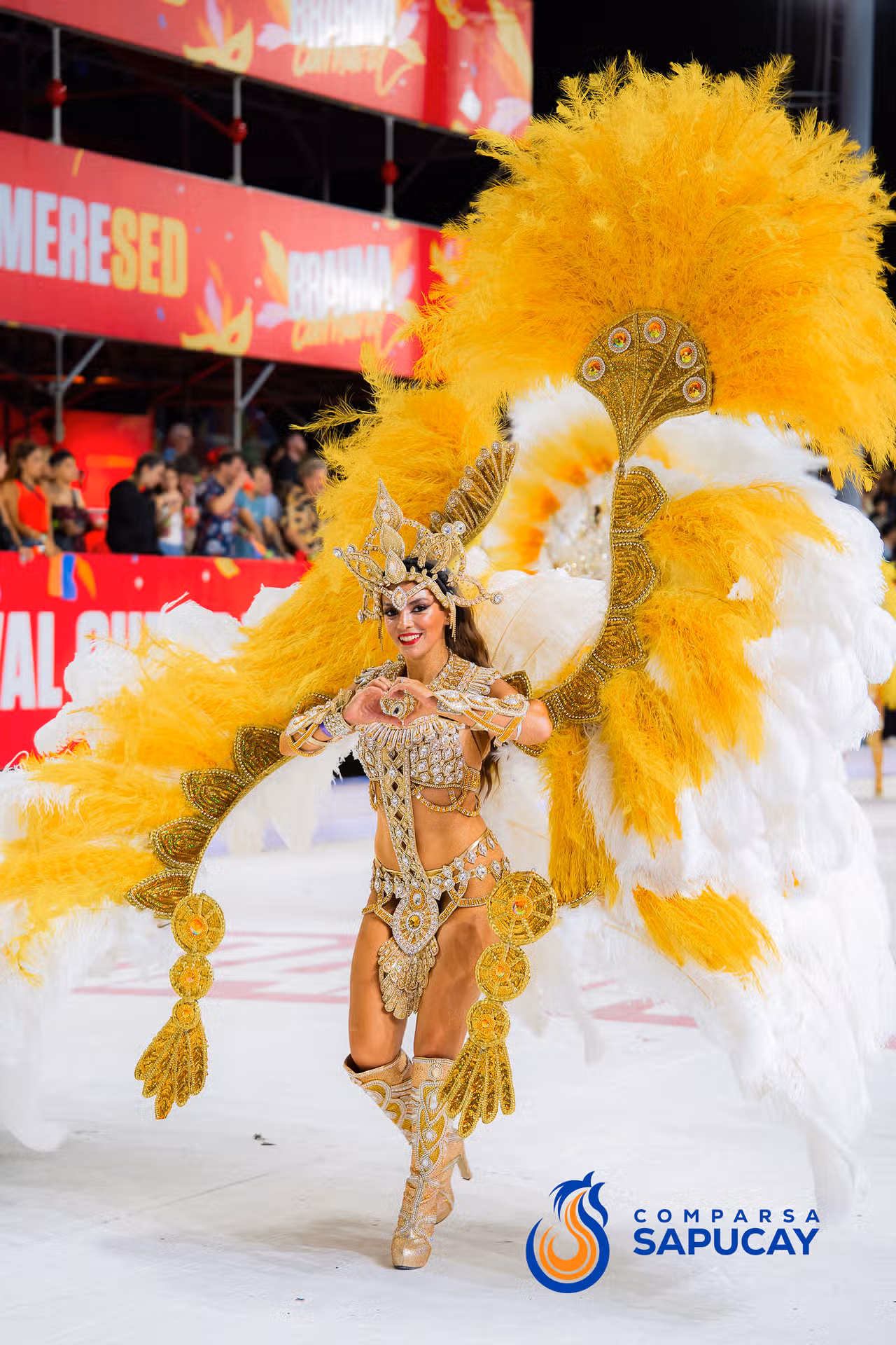 Galeria de fotos de la Tercera Noche de Corso 07-02-26