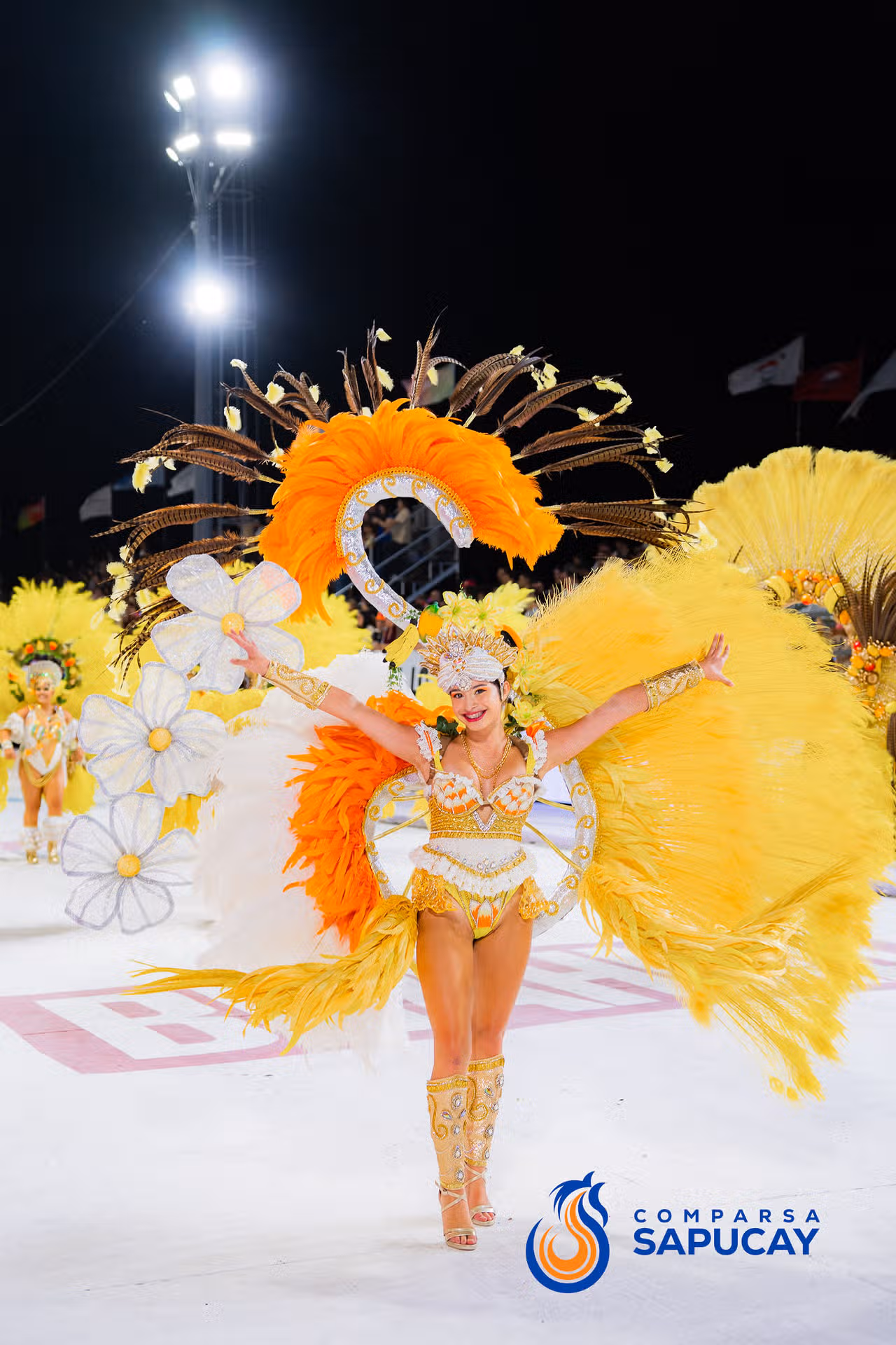 Galeria de fotos de la Tercera Noche de Corso 07-02-26