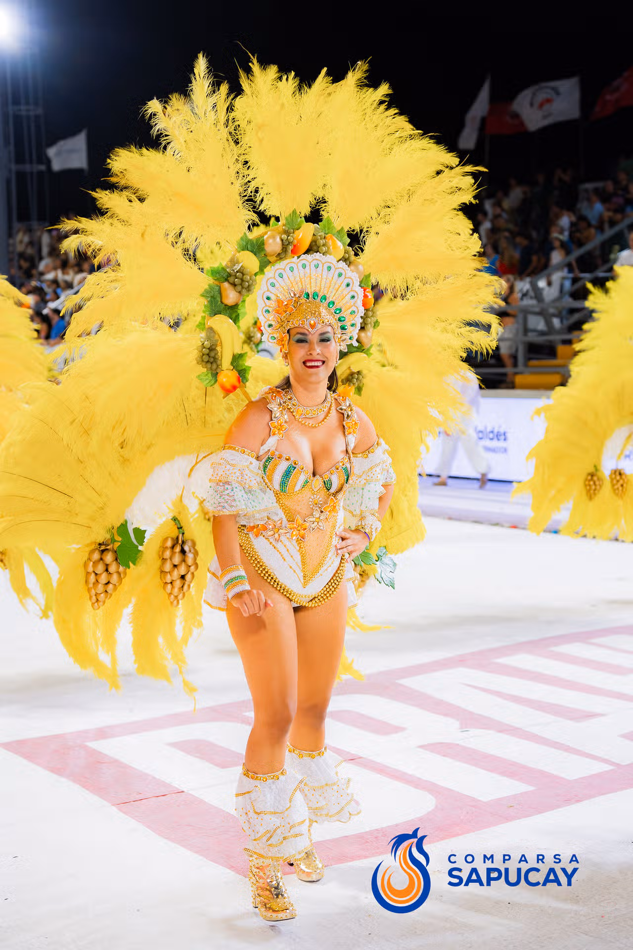 Galeria de fotos de la Tercera Noche de Corso 07-02-26