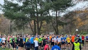 BSV Hamburg Wald- und Crosslaufserie 3