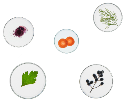 ingredient