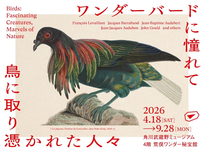 ワンダーバードに憧れて 鳥に取り憑かれた人々