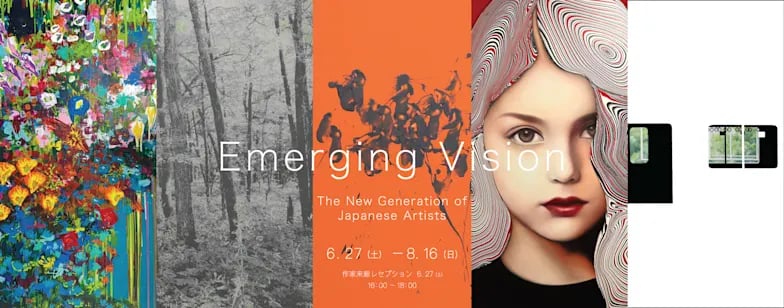 Emerging Vision:The New Generation of Japanese Artists