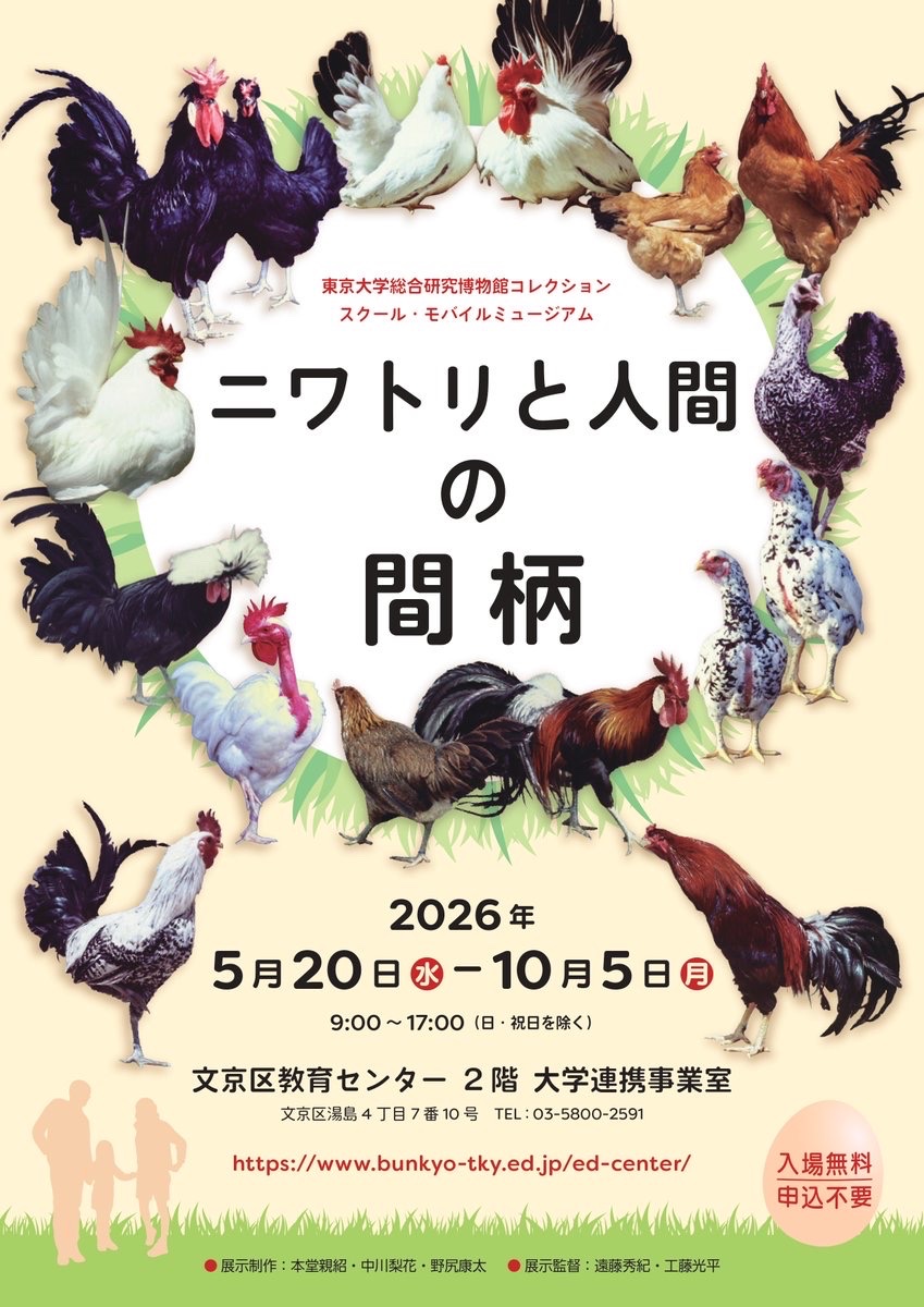 ニワトリと人間の間柄