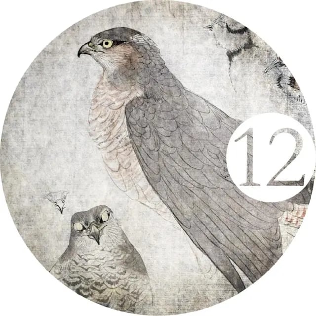 アヴェス・ヤポニカエ〈12〉 – 鷹ノ目