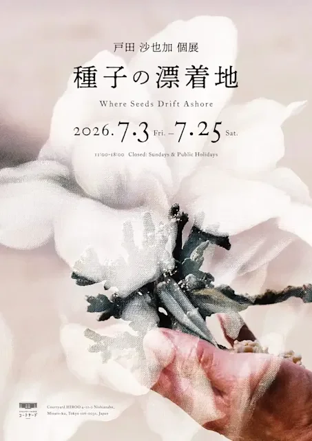 種子の漂着地