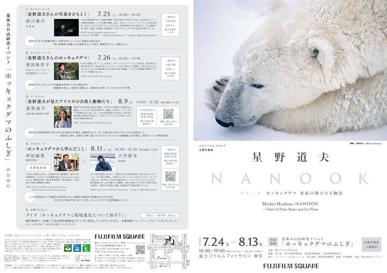 NANOOK ホッキョクグマ 氷原の静かなる物語