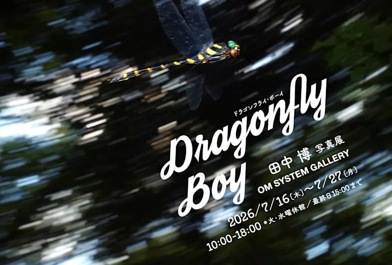 Dragonfly Boy