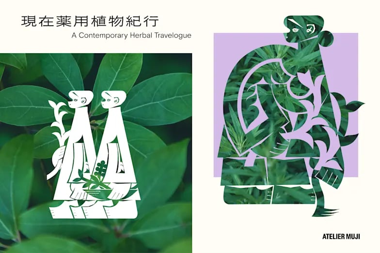 現在薬用植物紀行