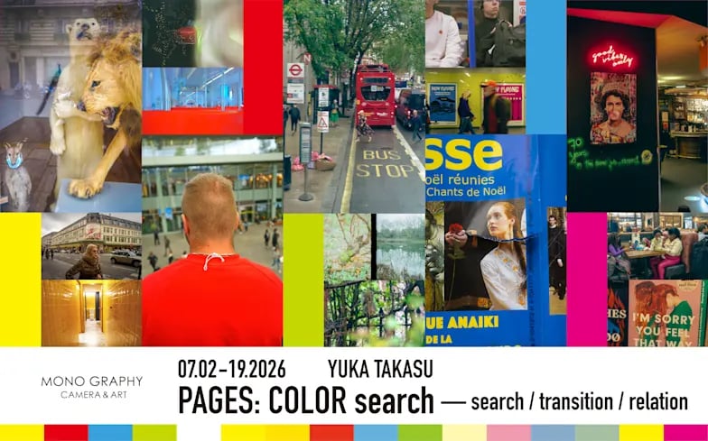 PAGES : COLOR search— search / transition / relation