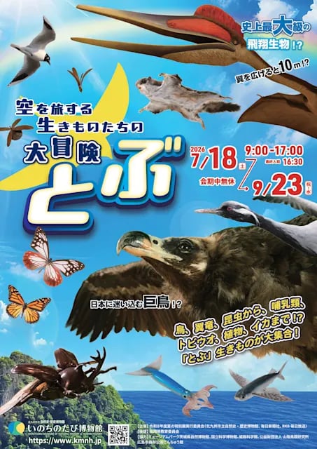 とぶ 空を旅する生きものたちの大冒険