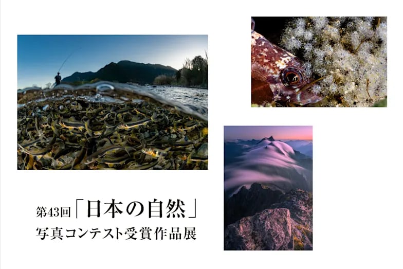 第43回『日本の自然』写真コンテスト 受賞作品展