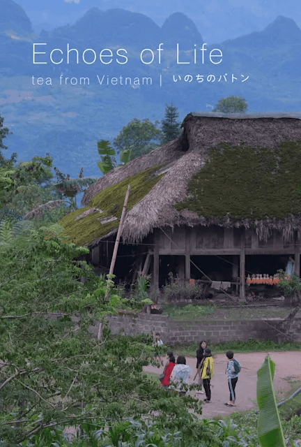 Echoes of Life | Tea from Vietnam いのちのバトン