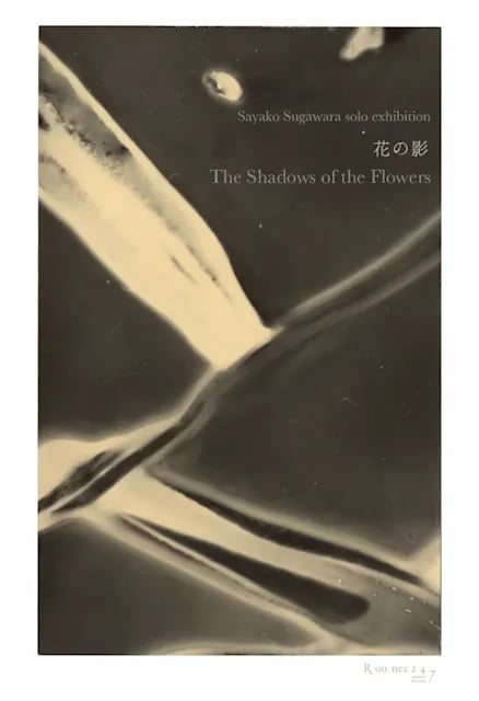 花の影