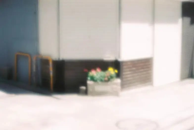 ゆめあるきの展示画像
