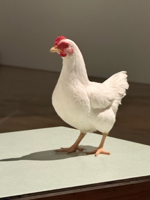 みゃのプロフィール画像