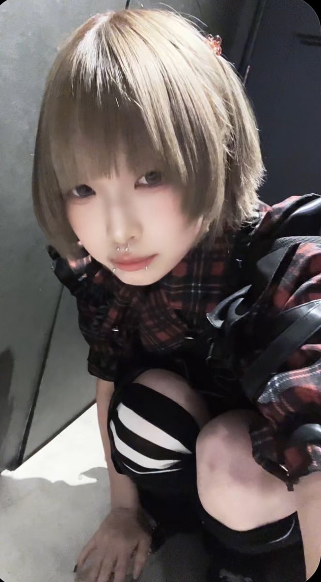 とげまるてぃぶ の写真 1