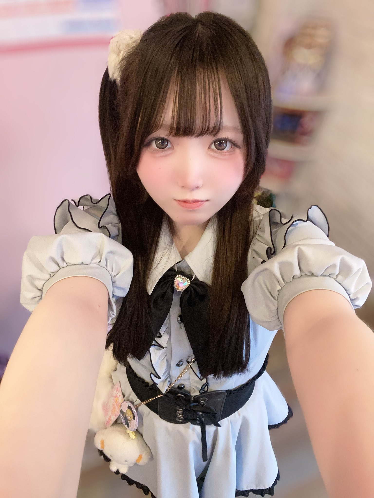 さんご の写真 1