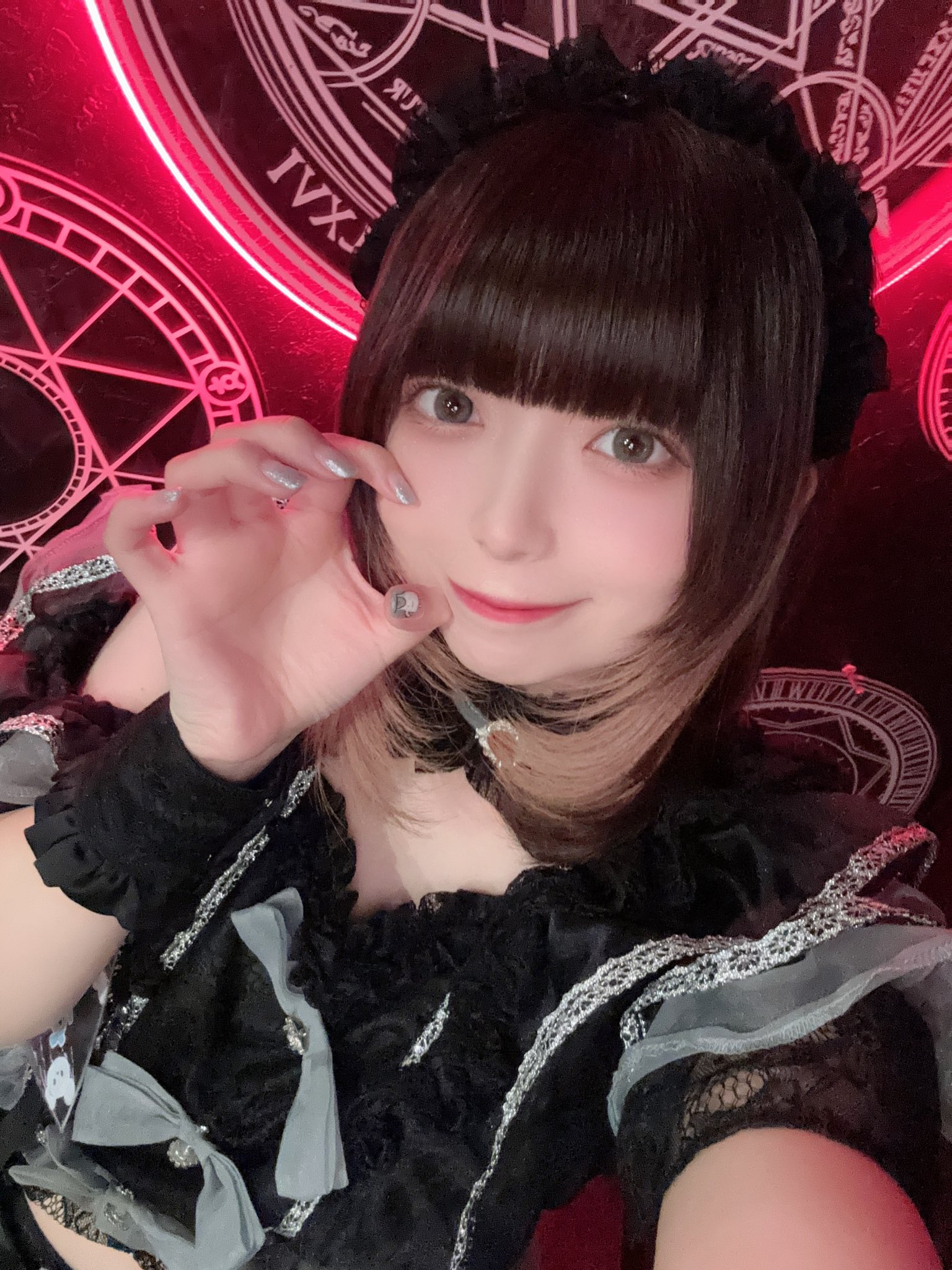 かい の写真 2