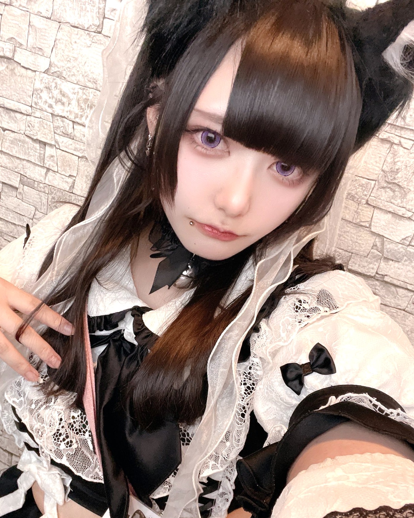 くろまめ の写真 2