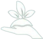 Logo Floricultura Diamante