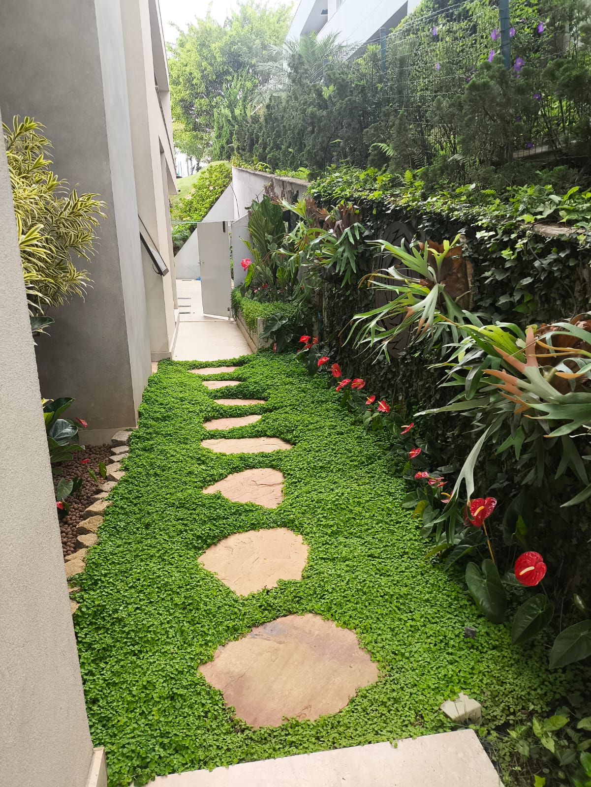 Jardim paisagístico 9