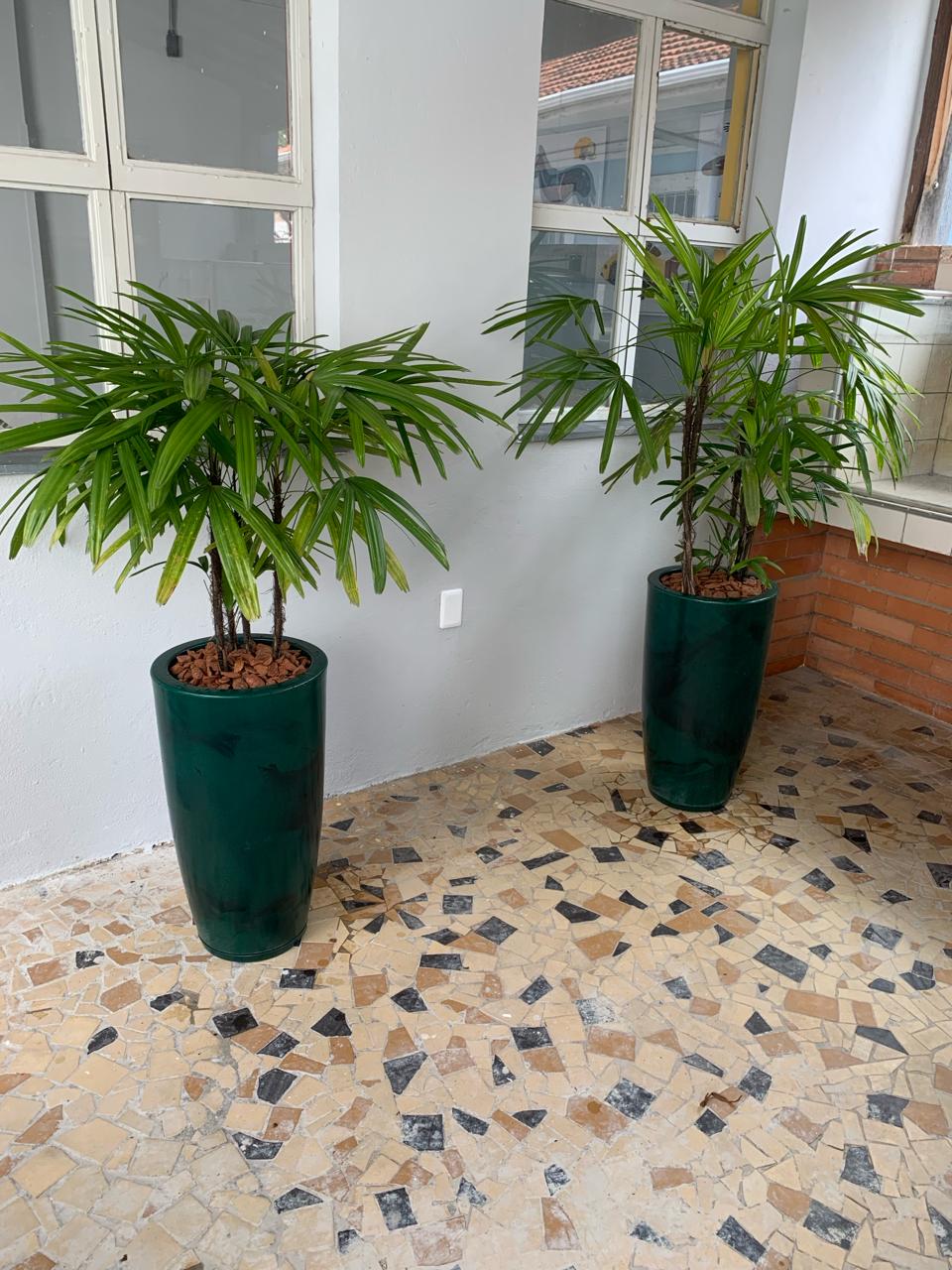 Vaso montado 5