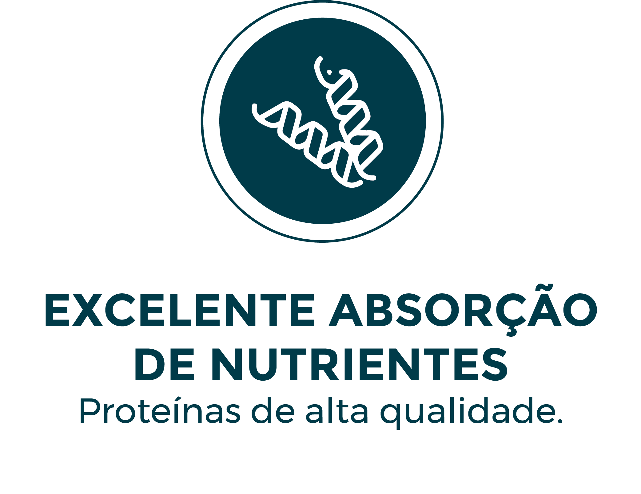 Excelente Absorção de Nutrientes