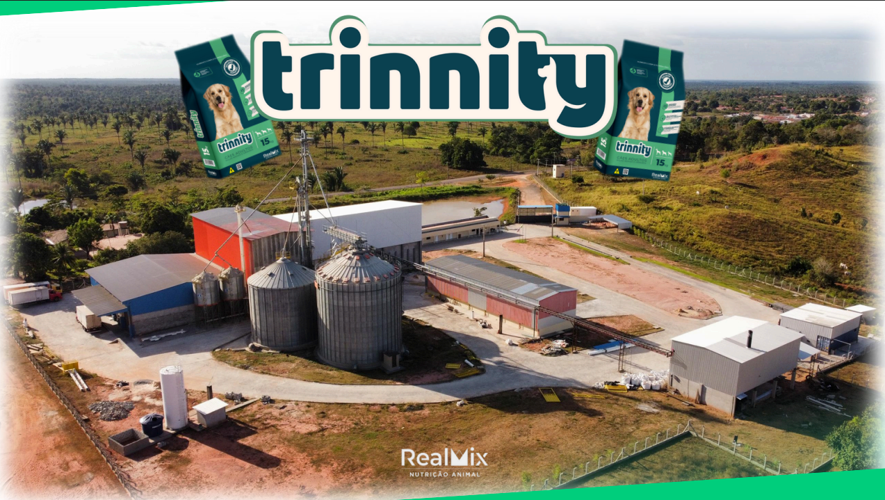 Estrutura da Empresa