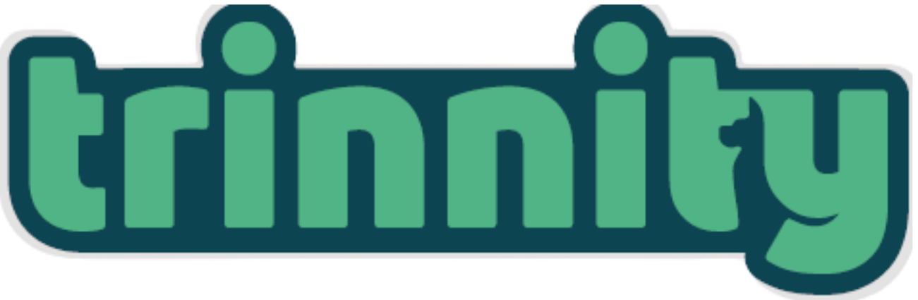 Trinnity Logo