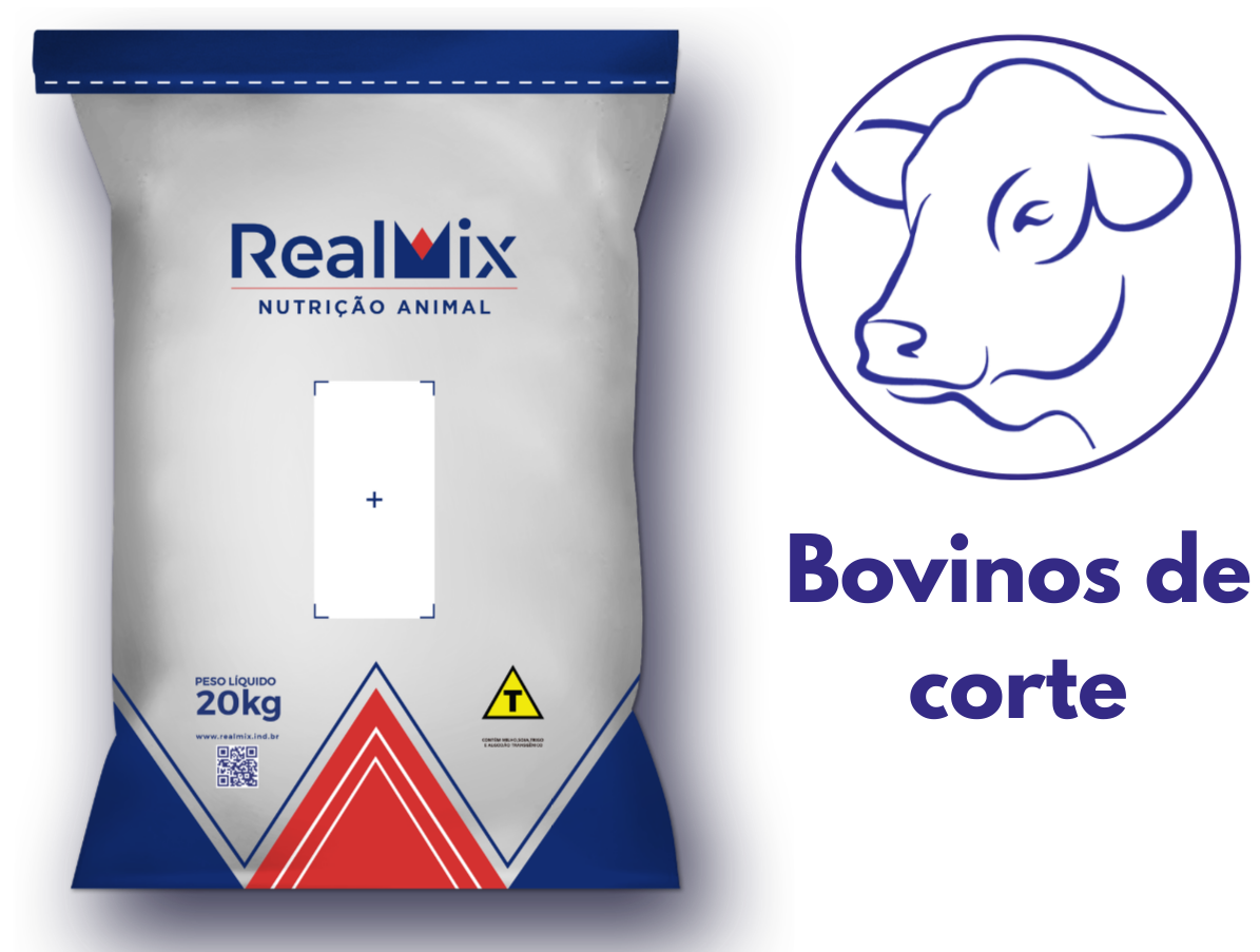 Bovinos de Corte