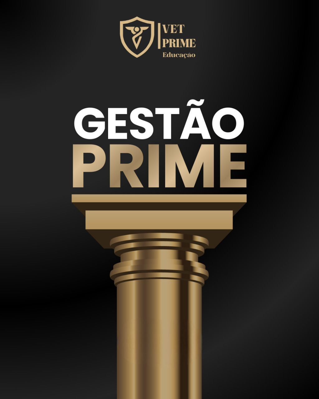 Gestão Prime