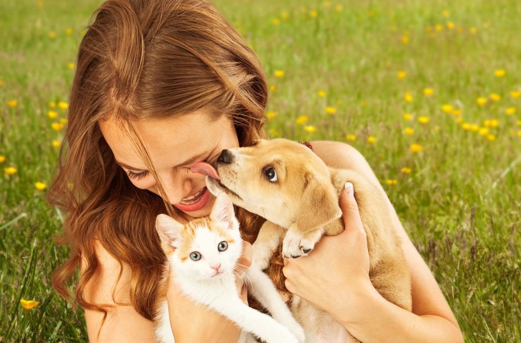 Pets felizes com plano WN Vet