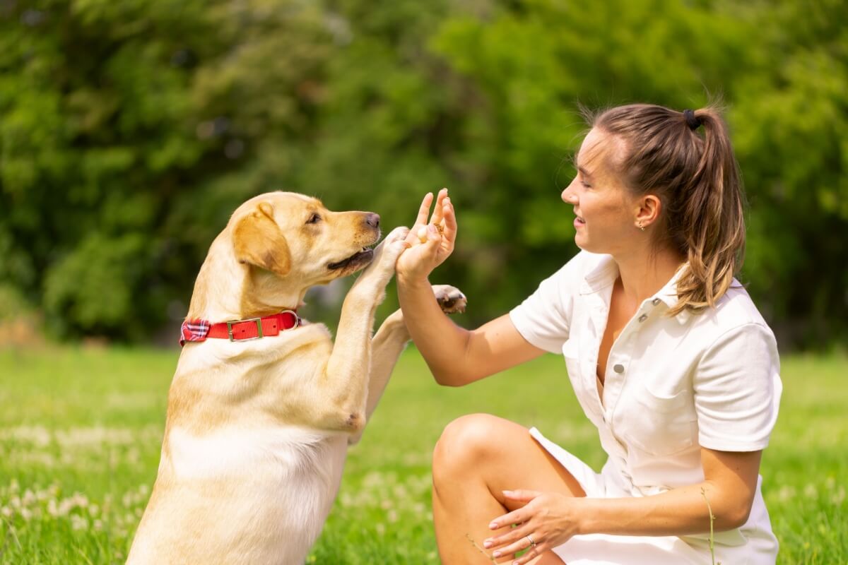Pets felizes com plano WN Vet